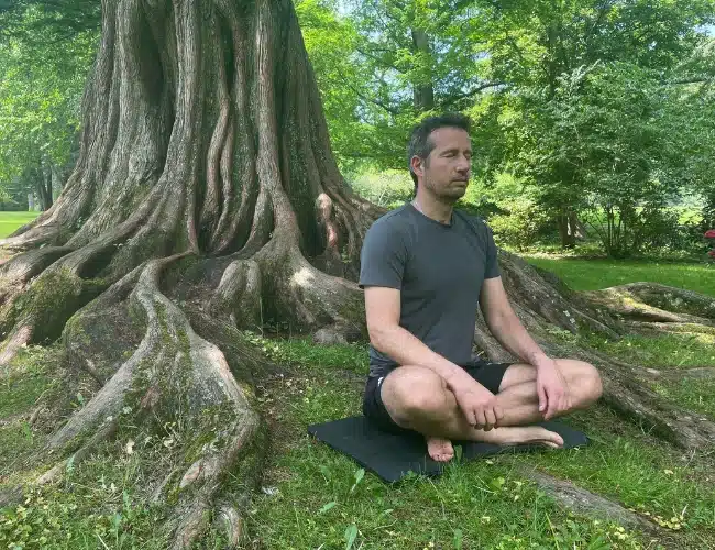 nonviolent communication life coach​